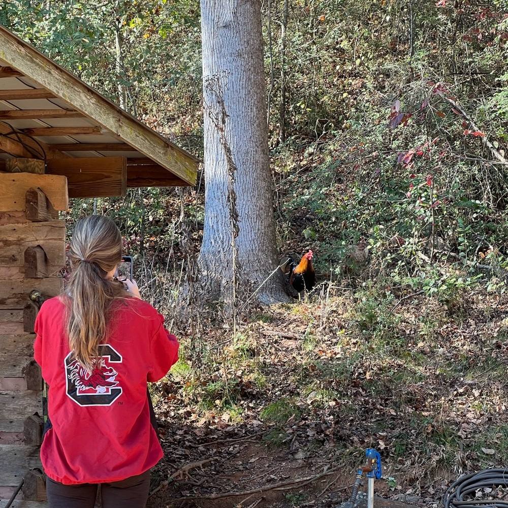 Meet your Posher, Kate